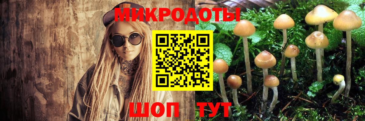 Галлюциногенные грибы MAGIC MUSHROOMS  Галлюциногенные грибы Psilocybe  Вход с VPN  Балахна 